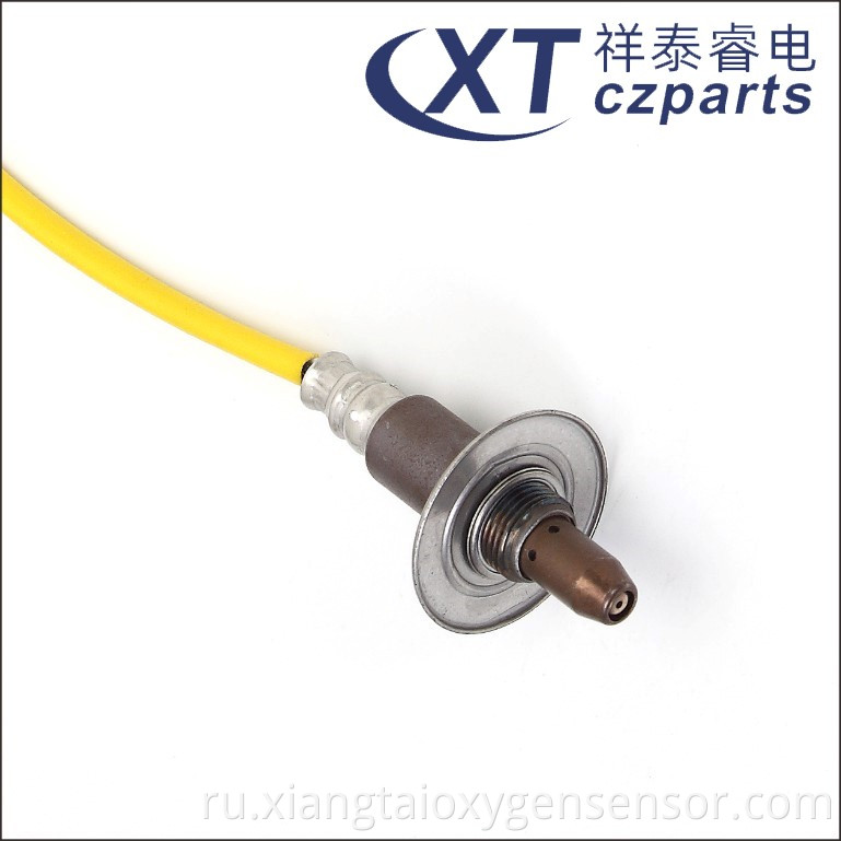 Oxygen Sensor